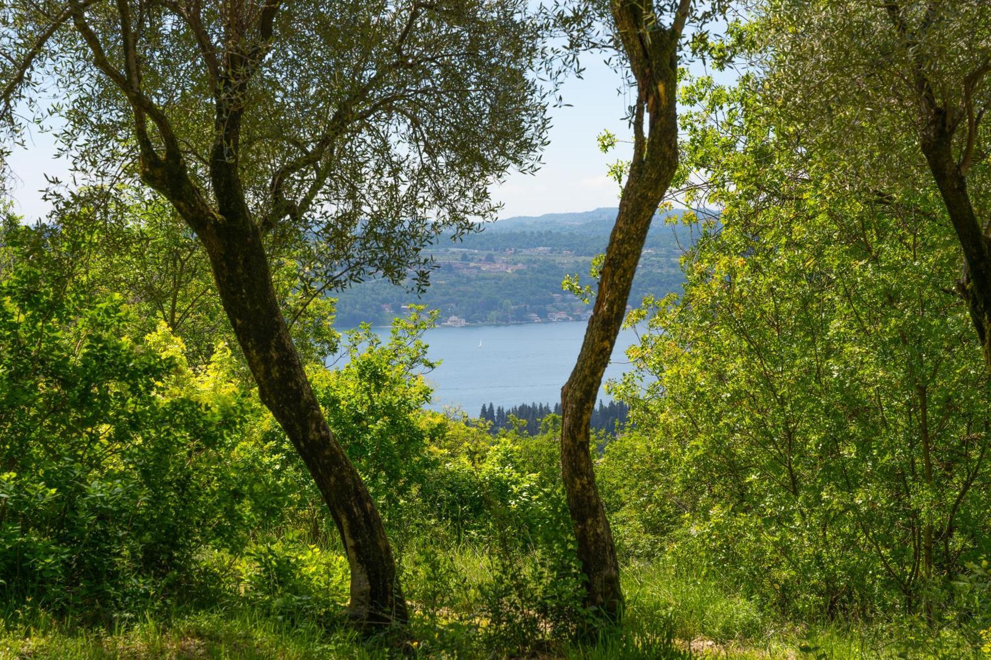 Premignaga Natural Home Gardone Riviera Eksteriør bilde