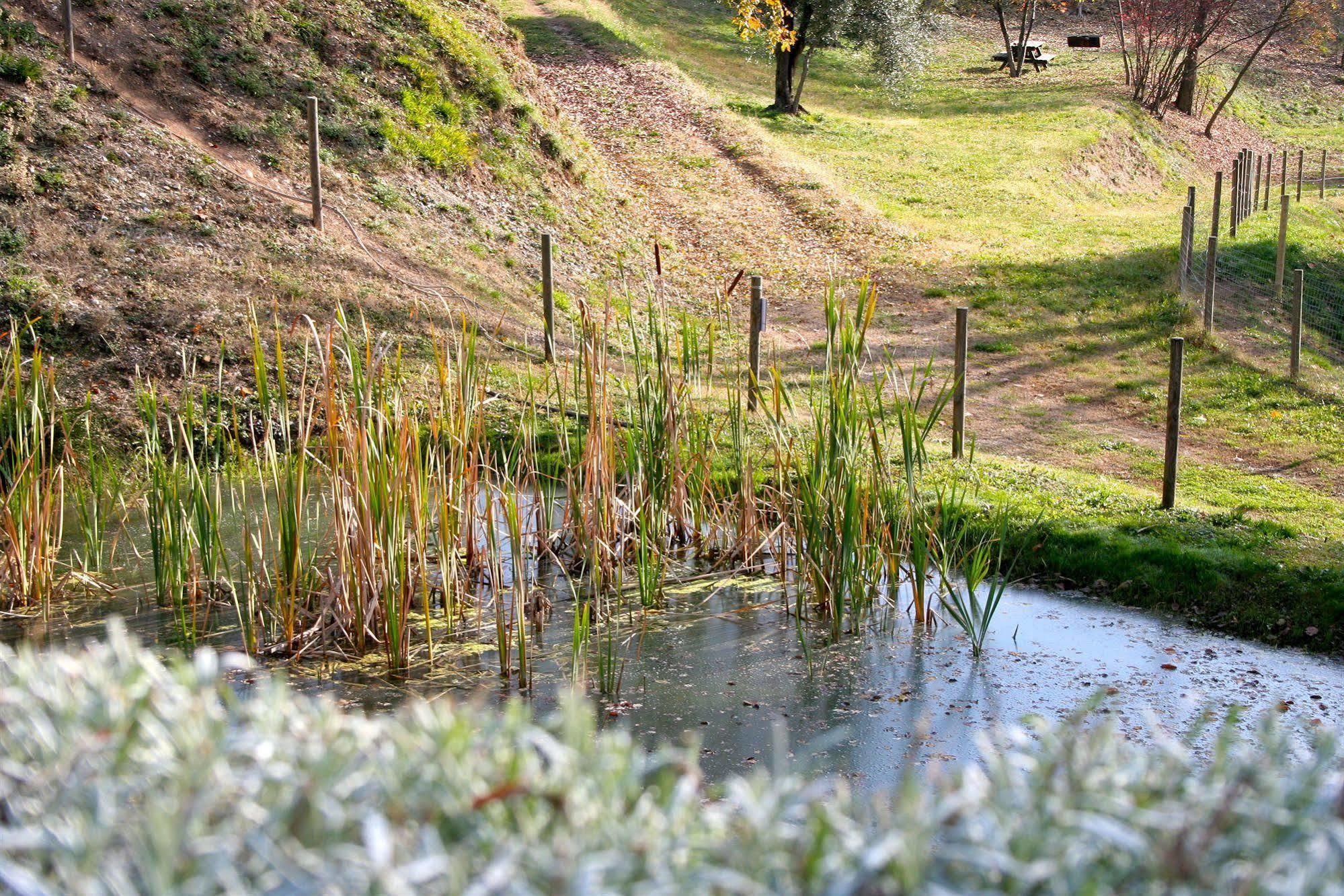Premignaga Natural Home Gardone Riviera Eksteriør bilde